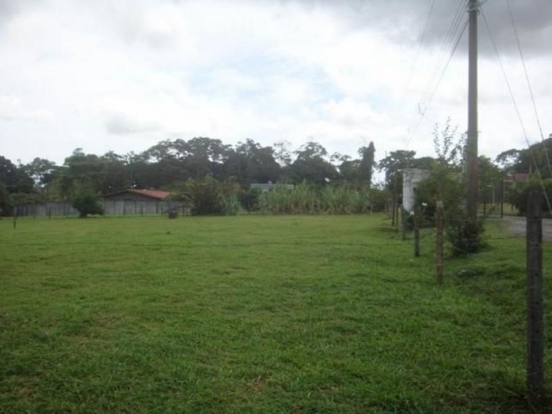 Foto Terreno en Venta en Guapiles, Pococí, Limón - ¢ 35.000.000 - TEV72707 - BienesOnLine