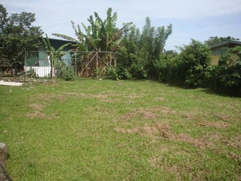 Foto Terreno en Venta en Guapiles, Pococí, Limón - ¢ 13.000.000 - TEV73134 - BienesOnLine