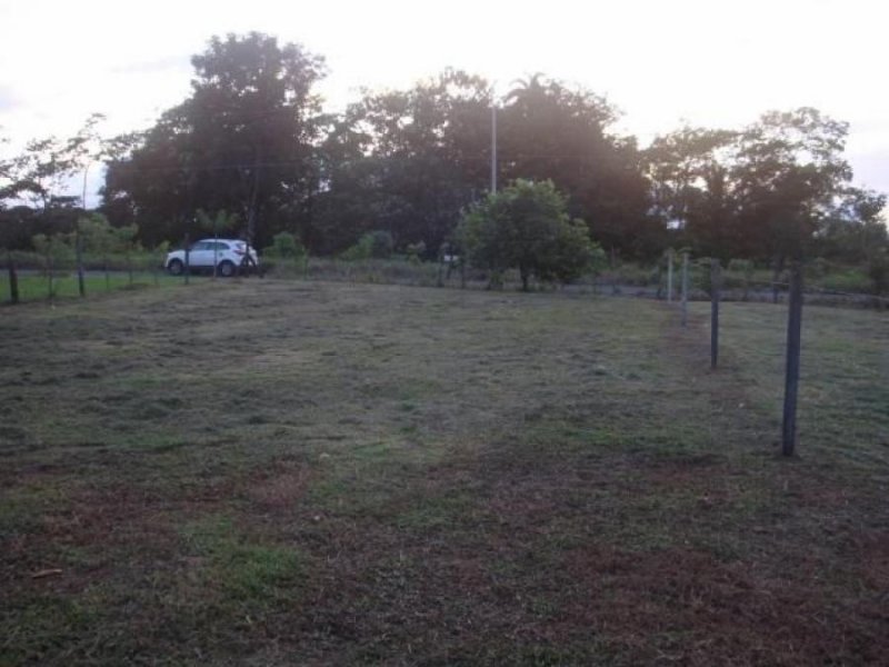 Foto Terreno en Venta en Guapiles, Pococí, Limón - ¢ 18.000.000 - TEV72640 - BienesOnLine