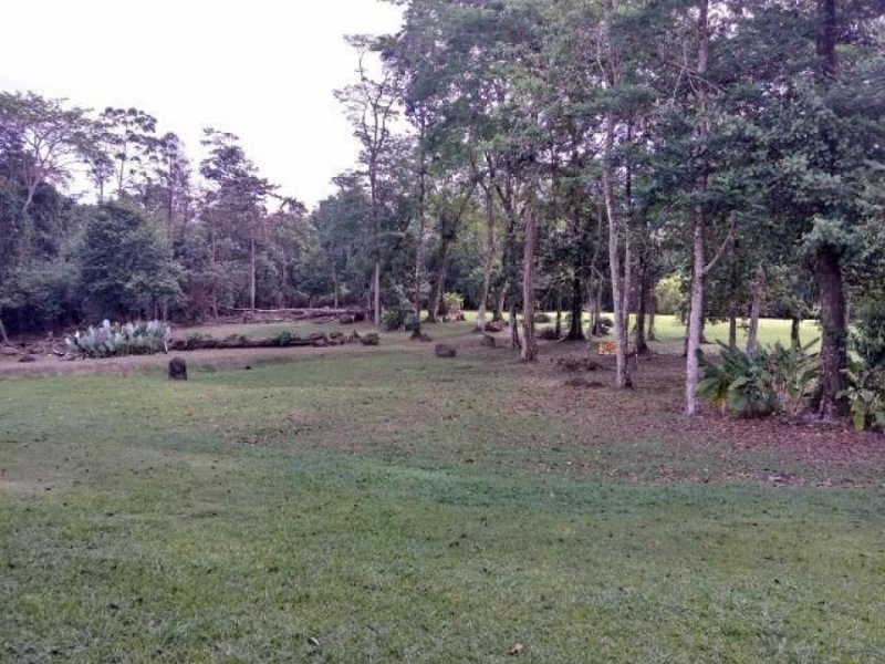 Foto Terreno en Venta en Ruta 32 de Guapiles, Pococí, Limón - ¢ 68.000.000 - TEV72991 - BienesOnLine