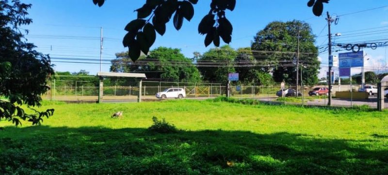 Foto Terreno en Venta en Guapiles centro, Pococí, Limón - U$D 123.400 - TEV59474 - BienesOnLine