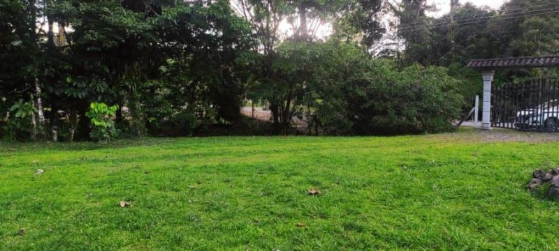 Foto Terreno en Venta en Buenos Aires, Pococí, Limón - ¢ 28.000.000 - TEV72697 - BienesOnLine