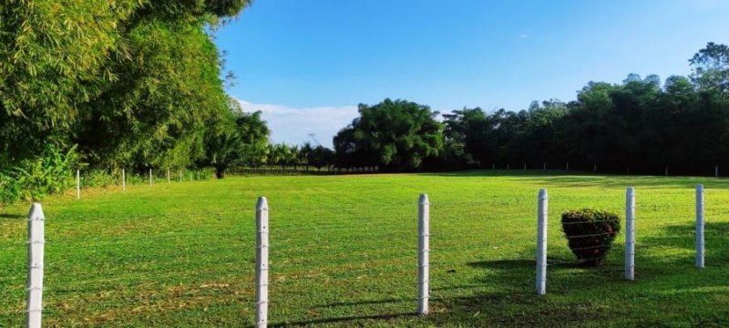 Foto Terreno en Venta en SaraRioFrio, Sarapiquí, Heredia - ¢ 58.500.000 - TEV61980 - BienesOnLine