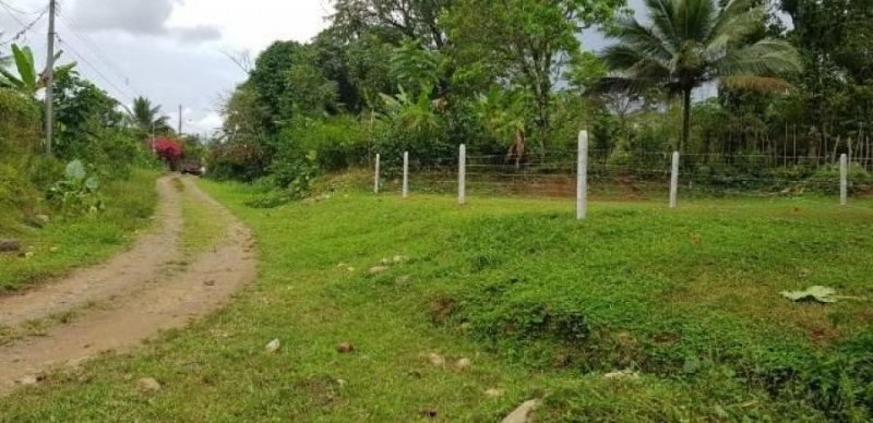 Terreno en Venta en Calle Pocora Guácimo, Limón