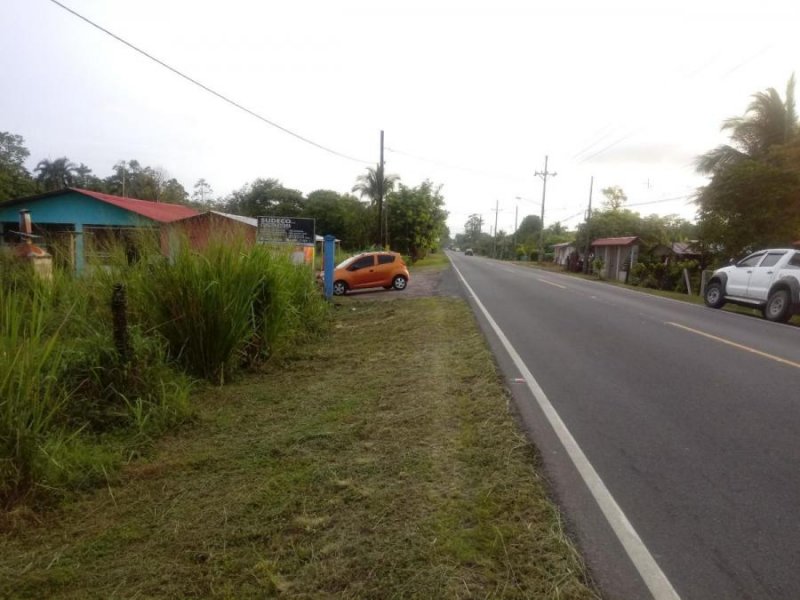 Foto Terreno en Venta en Astua Pire, Pococí, Limón - ¢ 6.000.000 - TEV72618 - BienesOnLine