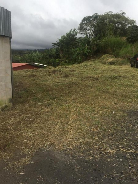 Foto Terreno en Venta en SanJuan, Poás, Alajuela - U$D 62.800 - TEV59630 - BienesOnLine