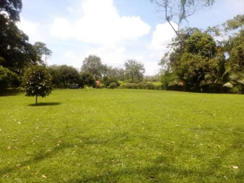 Foto Terreno en Venta en SCLaFortuna, San Carlos, Alajuela - ¢ 81.250.000 - TEV72355 - BienesOnLine