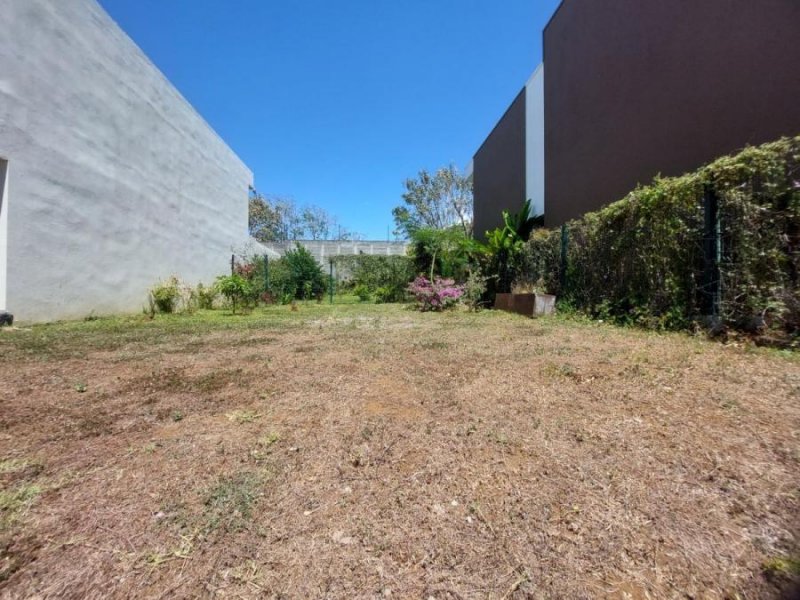 Foto Terreno en Venta en AlajAlajuela, Alajuela, Alajuela - U$D 100.000 - TEV73229 - BienesOnLine