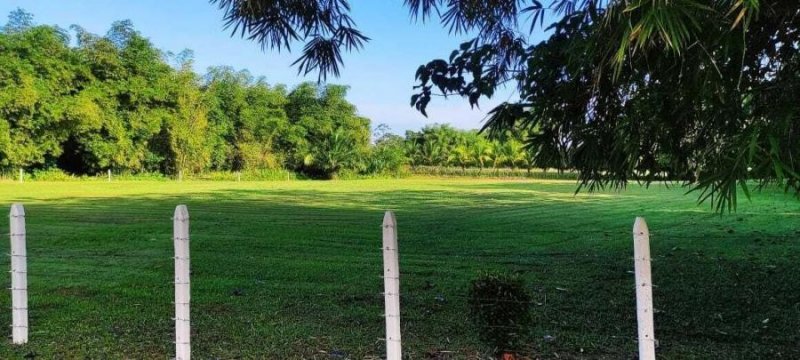 Foto Terreno en Venta en SaraRioFrio, Sarapiquí, Heredia - ¢ 58.500.000 - TEV72347 - BienesOnLine