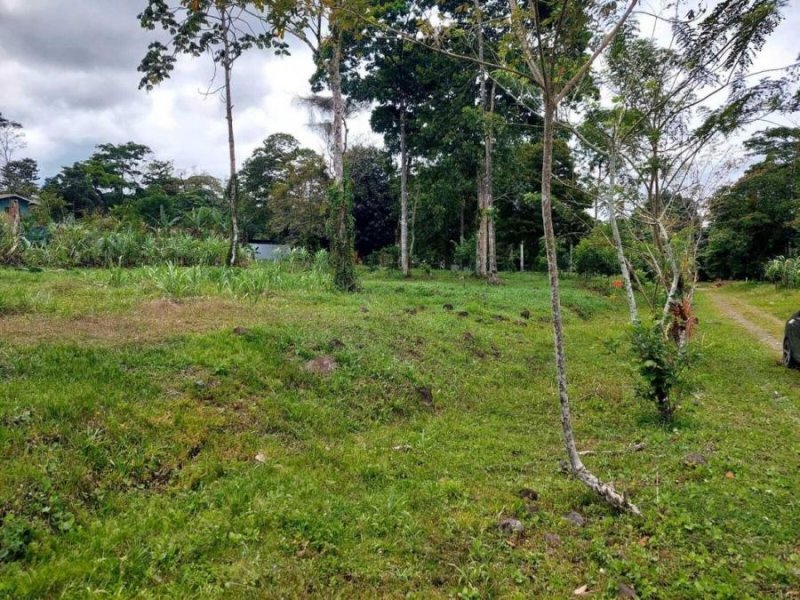 Foto Terreno en Venta en PocoJimenez, Pococí, Limón - ¢ 140.125.000 - TEV72434 - BienesOnLine