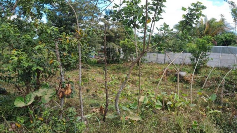 Foto Terreno en Venta en Calle Ardillita, Pococí, Limón - U$D 21.500 - TEV58837 - BienesOnLine