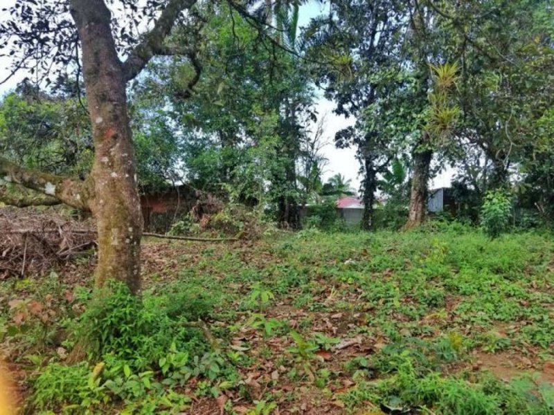 Foto Terreno en Venta en Calle Bovinos, Pococí, Limón - U$D 13.880 - TEV58755 - BienesOnLine