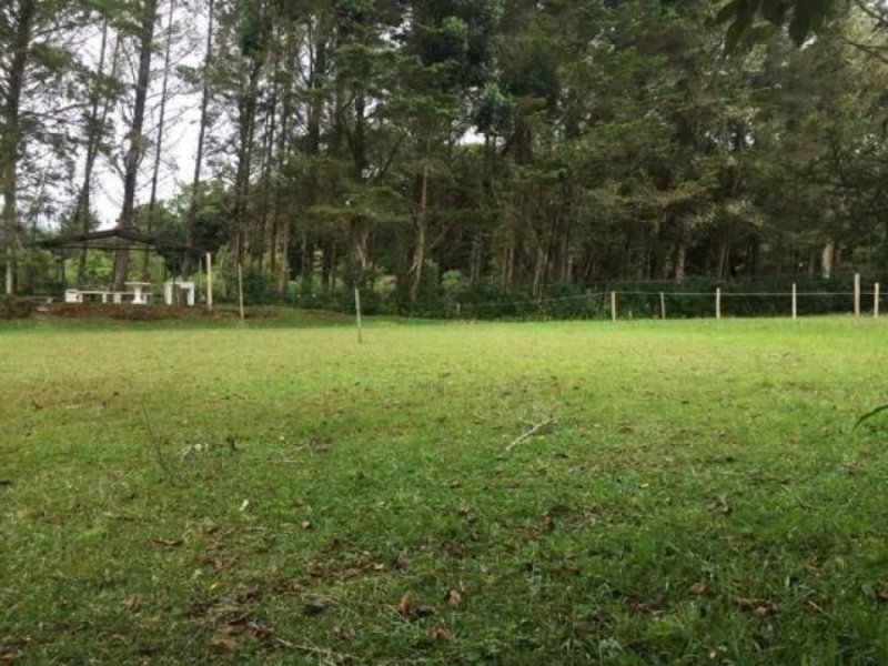 Foto Terreno en Venta en DotaElJardin, Dota, San José - U$D 19.800 - TEV43292 - BienesOnLine