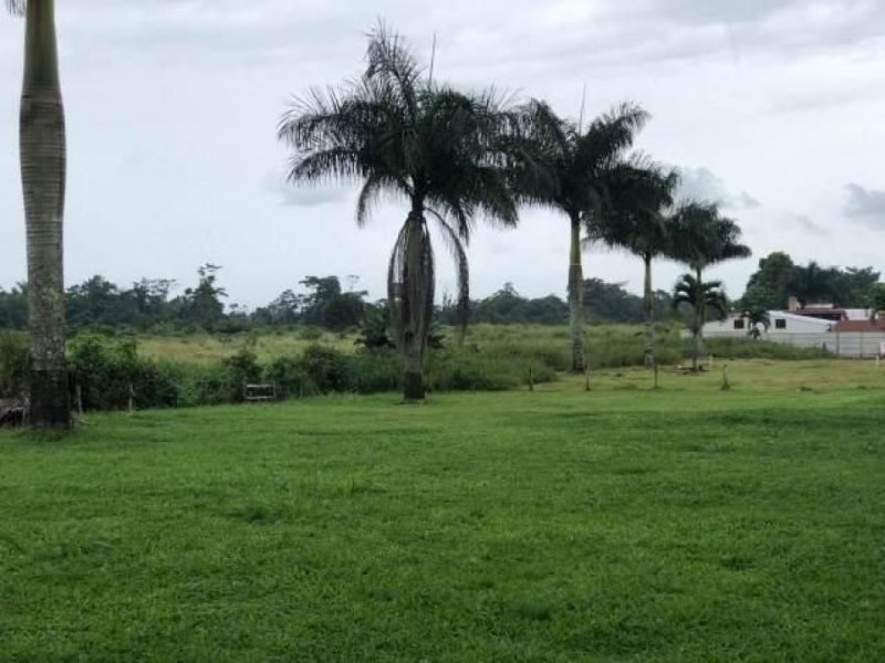 Foto Terreno en Venta en Guapiles Centro, Pococí, Limón - U$D 135.000 - TEV46888 - BienesOnLine