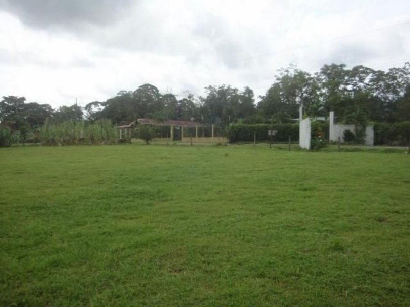 Foto Terreno en Venta en Guapiles, Pococí, Limón - U$D 70.000 - TEV40078 - BienesOnLine