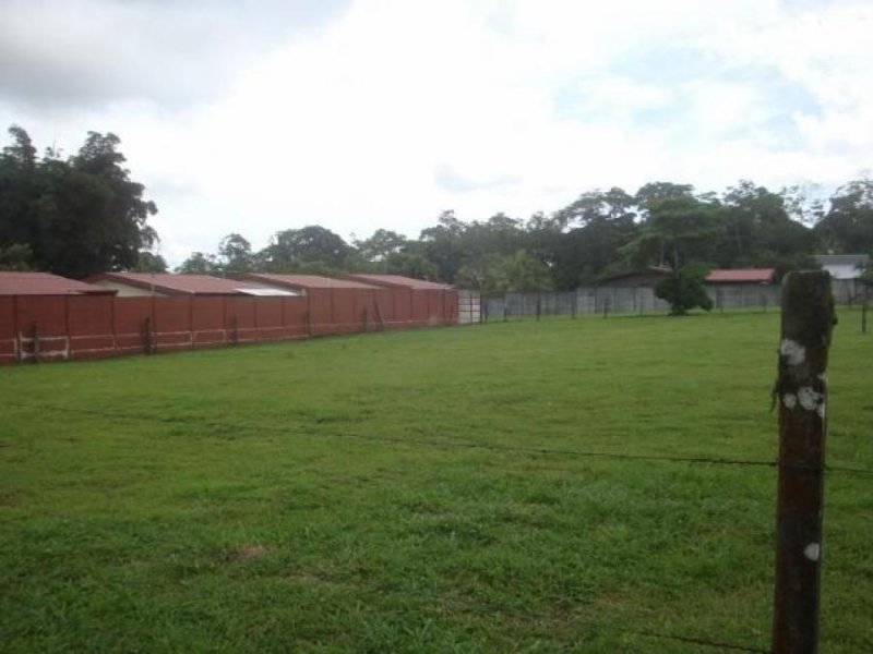 Foto Terreno en Venta en Guapiles, Pococí, Limón - U$D 70.000 - TEV39029 - BienesOnLine