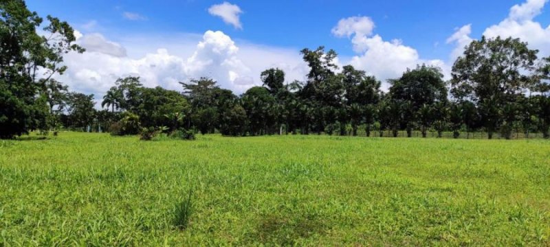 Foto Terreno en Venta en Guapiles, Pococí, Limón - U$D 99.000 - TEV39098 - BienesOnLine