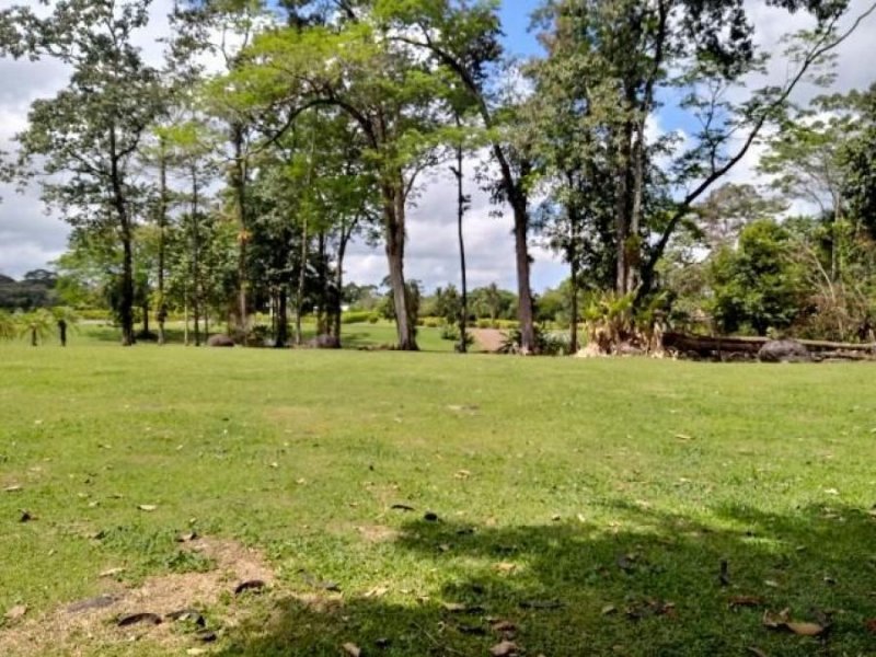 Foto Terreno en Venta en Guapiles, Pococí, Limón - ¢ 68.000.000 - TEV72354 - BienesOnLine