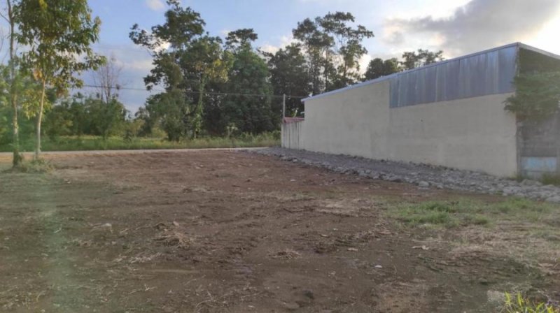 Foto Terreno en Venta en Guapiles, Pococí, Limón - U$D 21.000 - TEV41071 - BienesOnLine