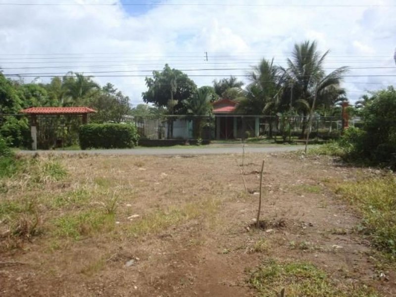 Foto Terreno en Venta en PocoJimenez, Pococí, Limón - ¢ 35.000.000 - TEV72700 - BienesOnLine