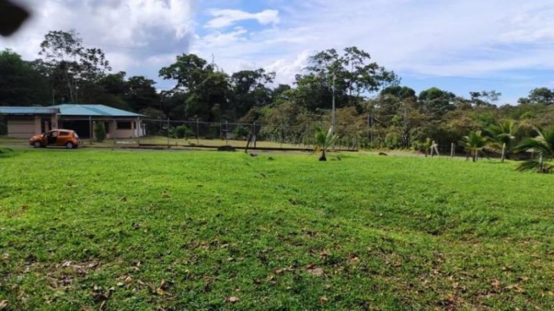 Foto Terreno en Venta en PocoJimenez, Pococí, Limón - U$D 41.600 - TEV48734 - BienesOnLine