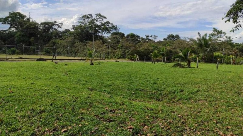 Foto Terreno en Venta en Buenos Aires, Pococí, Limón - ¢ 25.000.000 - TEV72694 - BienesOnLine