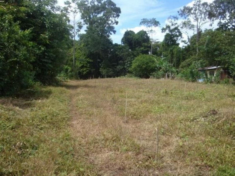 Foto Terreno en Venta en PocoJimenez, Pococí, Limón - U$D 61.500 - TEV39001 - BienesOnLine