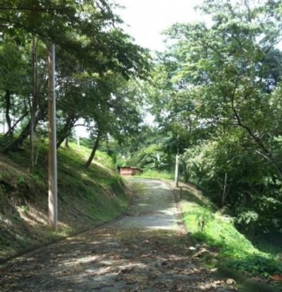 Foto Terreno en Venta en PuntaLeona, Garabito, Puntarenas - U$D 60.000 - TEV39417 - BienesOnLine