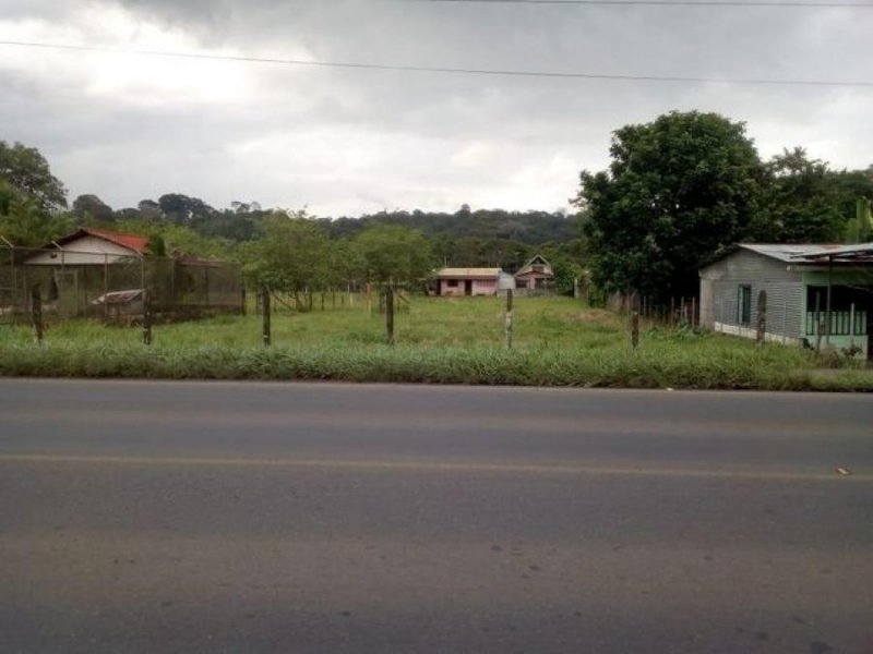 Foto Terreno en Venta en SAPuertoViejo, Sarapiquí, Heredia - ¢ 28.000.000 - TEV63312 - BienesOnLine