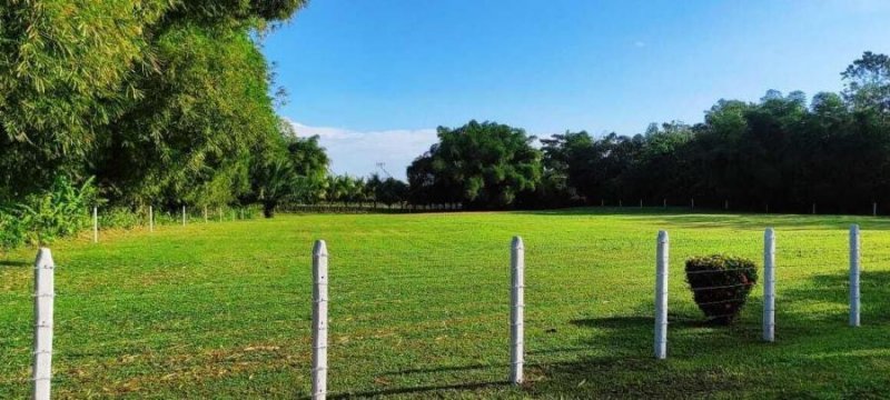 Foto Terreno en Venta en SaraRioFrio, Sarapiquí, Heredia - ¢ 58.500.000 - TEV65311 - BienesOnLine