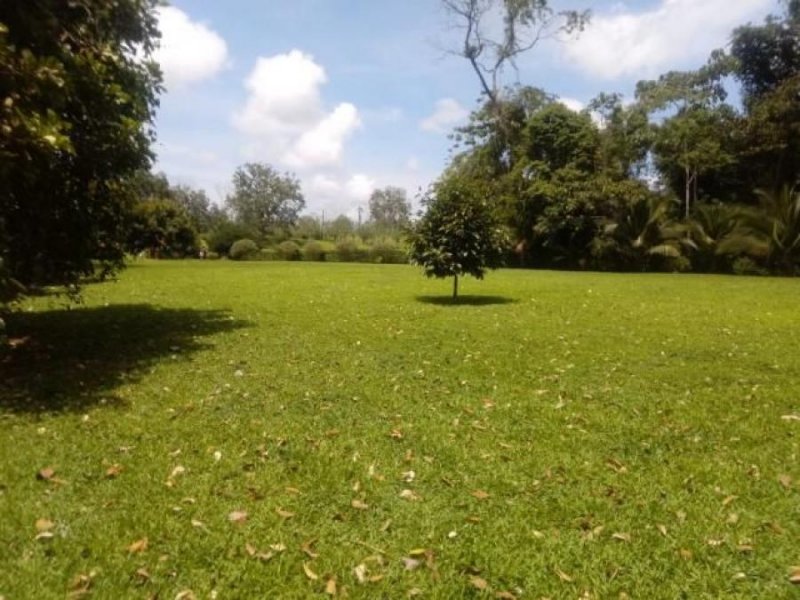 Foto Terreno en Venta en SCLaFortuna, San Carlos, Alajuela - U$D 125.000 - TEV47447 - BienesOnLine