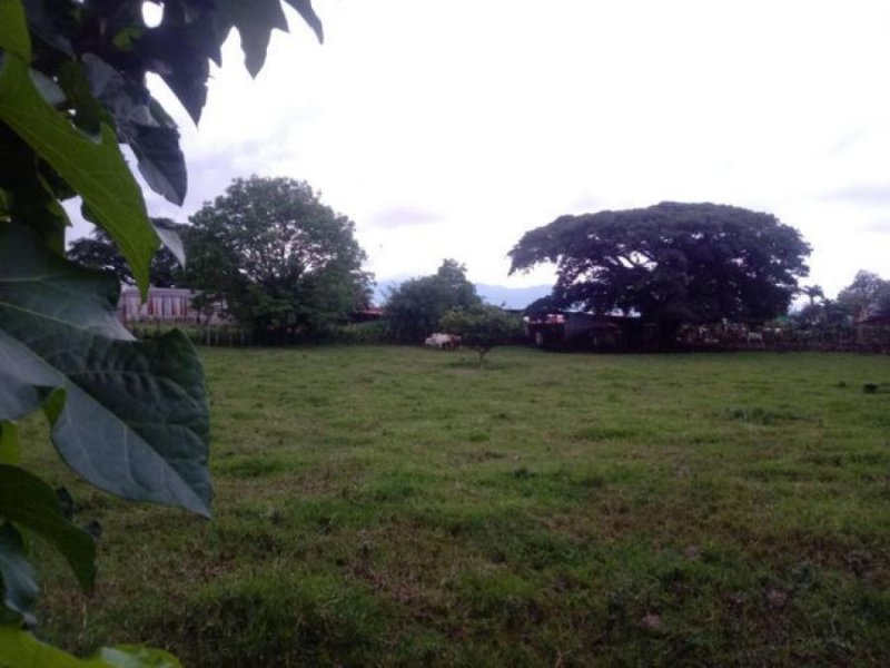 Foto Terreno en Venta en ALAAlajuelaCentro, Alajuela, Alajuela - ¢ 416.000.000 - TEV64053 - BienesOnLine