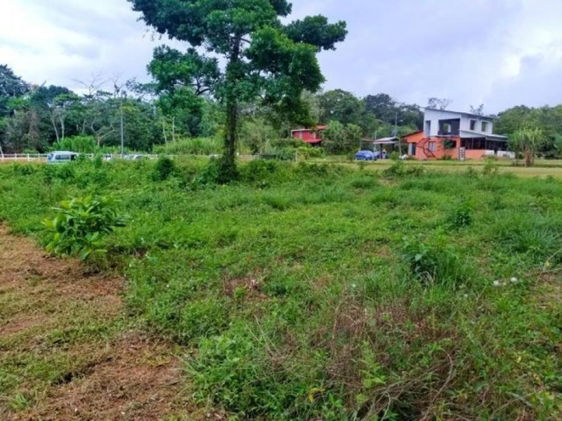 Foto Terreno en Venta en Guapiles, Pococí, Limón - U$D 29.360 - TEV54673 - BienesOnLine