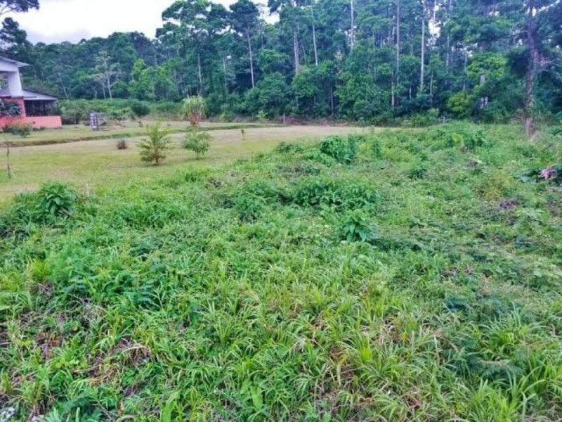 Foto Terreno en Venta en Guapiles, Pococí, Limón - U$D 27.800 - TEV57105 - BienesOnLine