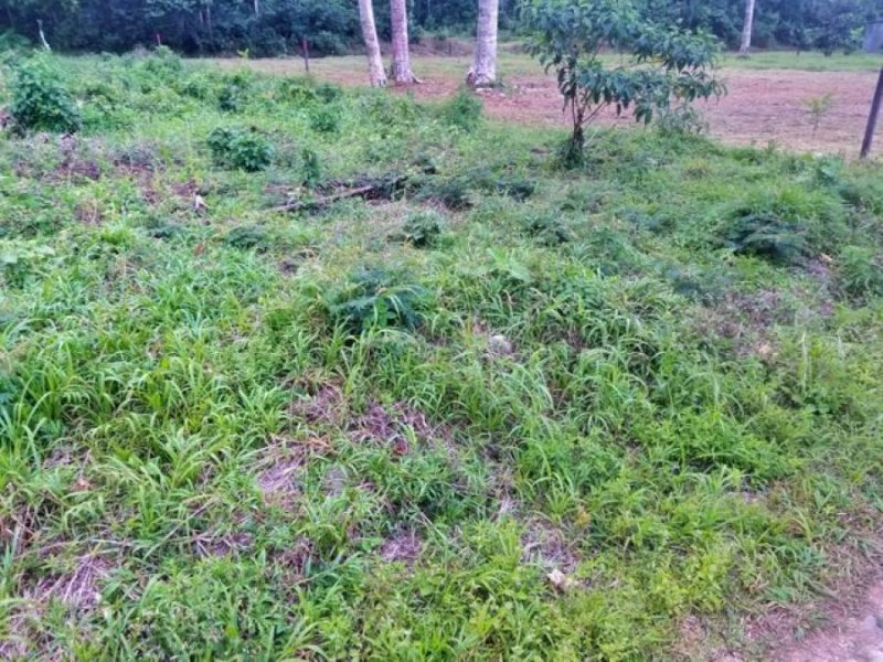 Foto Terreno en Venta en Av los Tribunales Guapiles, Pococí, Limón - U$D 29.360 - TEV56792 - BienesOnLine