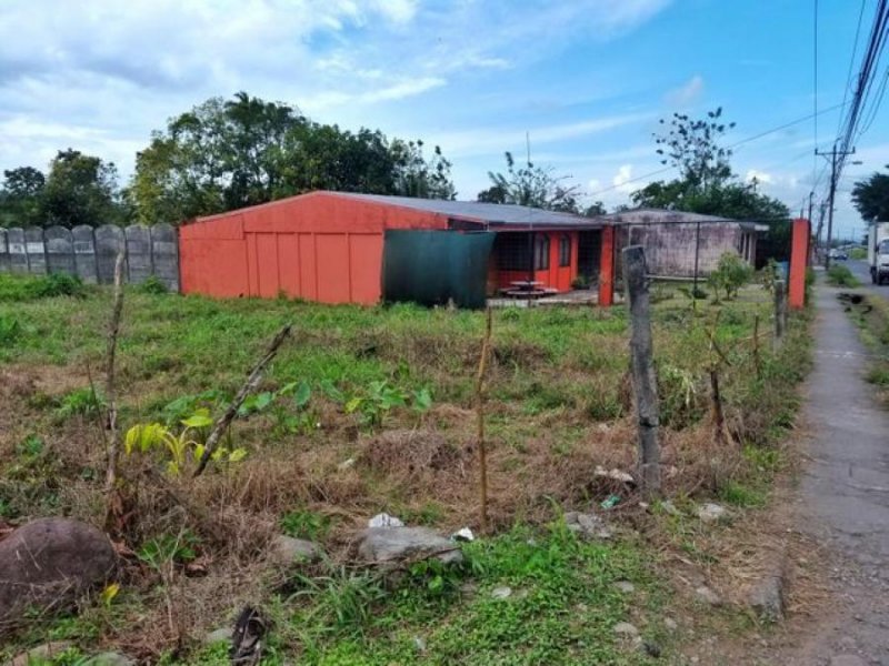 Foto Terreno en Venta en Calle Bovinos, Pococí, Limón - U$D 22.930 - TEV59318 - BienesOnLine