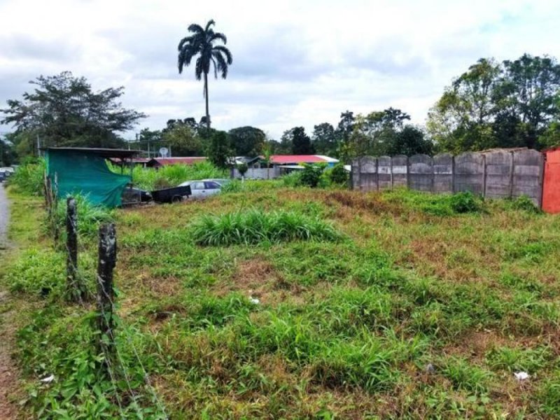 Foto Terreno en Venta en Avenida Bovinos Guapiles, Pococí, Limón - U$D 22.930 - TEV54601 - BienesOnLine