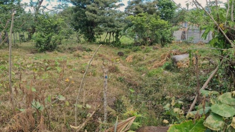 Foto Terreno en Venta en Guapiles, Pococí, Limón - U$D 19.559 - TEV56693 - BienesOnLine