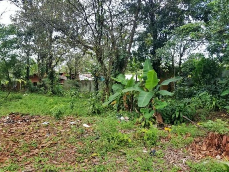 Foto Terreno en Venta en Calle Bovinos, Pococí, Limón - U$D 13.880 - TEV54579 - BienesOnLine