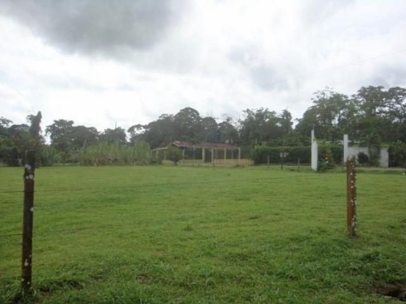 Foto Terreno en Venta en Guapiles, Pococí, Limón - U$D 60.500 - TEV53804 - BienesOnLine