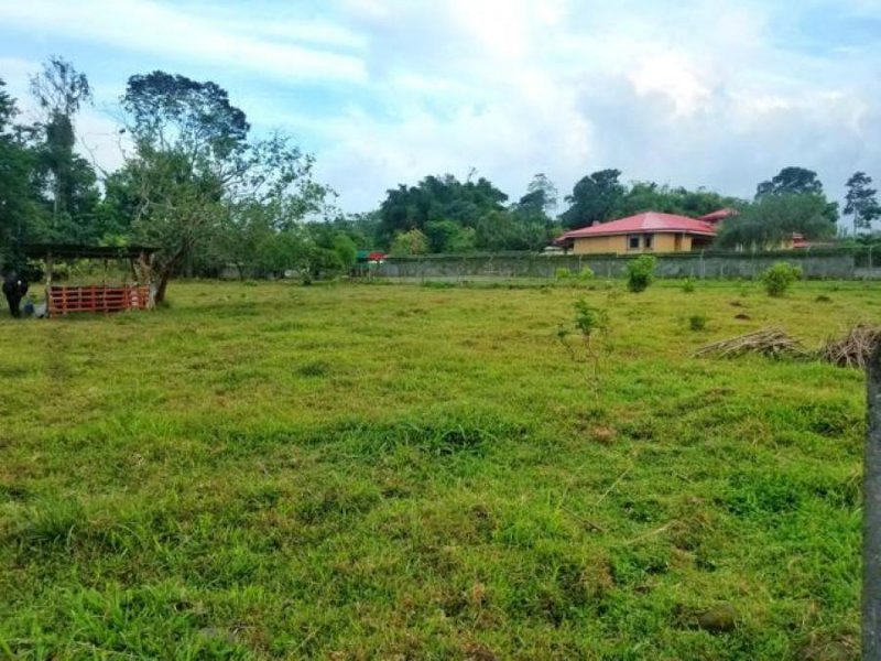 Foto Terreno en Venta en Guapiles, Pococí, Limón - U$D 60.000 - TEV54415 - BienesOnLine