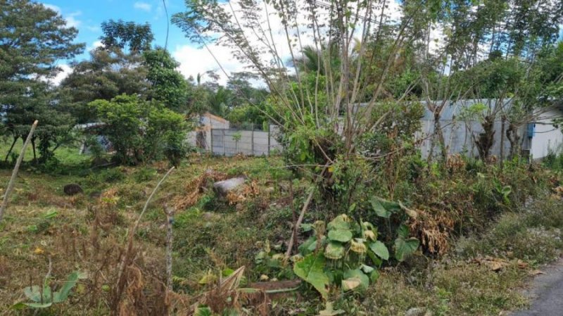 Foto Terreno en Venta en Guapiles, Pococí, Limón - U$D 18.600 - TEV58368 - BienesOnLine