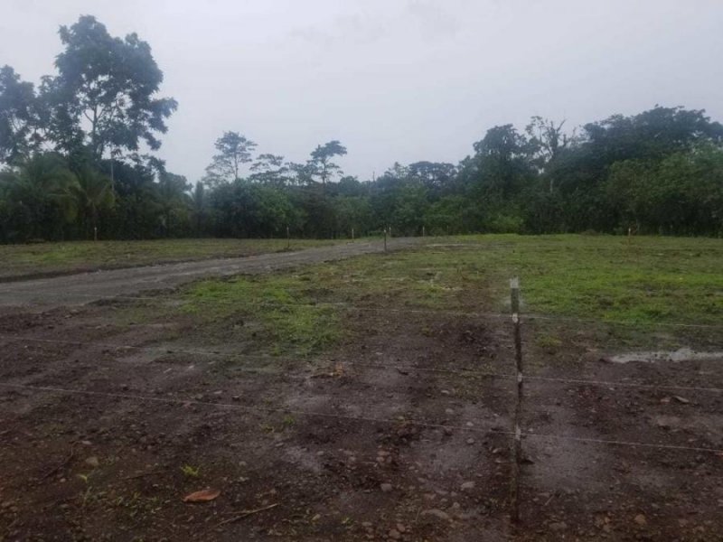 Foto Terreno en Venta en Guapiles, Pococí, Limón - U$D 17.000 - TEV58365 - BienesOnLine