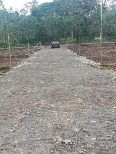 Foto Terreno en Venta en Guapiles, Pococí, Limón - U$D 17.700 - TEV53605 - BienesOnLine