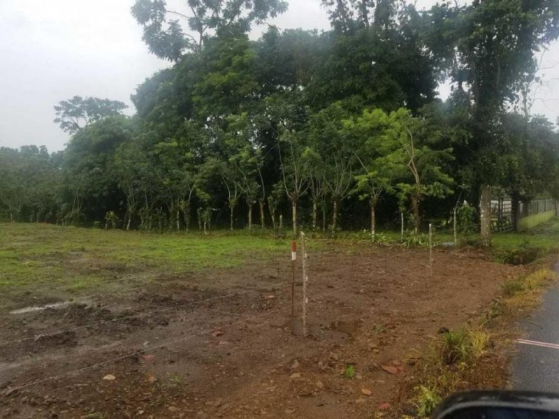 Foto Terreno en Venta en Calle Piedra, Pococí, Limón - U$D 17.700 - TEV54355 - BienesOnLine