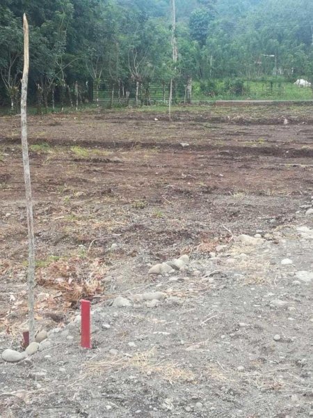 Foto Terreno en Venta en Calle Piedra Guapiles, Pococí, Limón - U$D 17.700 - TEV56669 - BienesOnLine