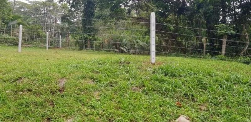 Foto Terreno en Venta en Guapiles, Pococí, Limón - U$D 7.000 - TEV53600 - BienesOnLine