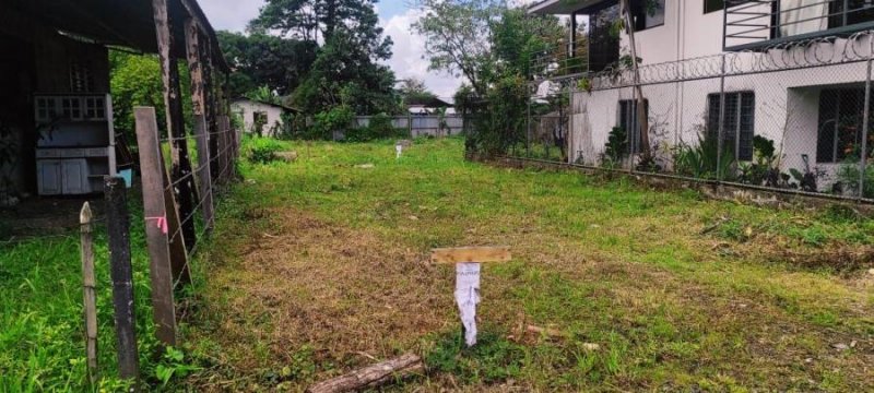 Foto Terreno en Venta en Lomas de Guapiles, Pococí, Limón - U$D 22.500 - TEV54388 - BienesOnLine