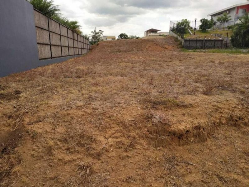 Foto Terreno en Venta en Grecia, Grecia, Alajuela - U$D 66.000 - TEV56406 - BienesOnLine