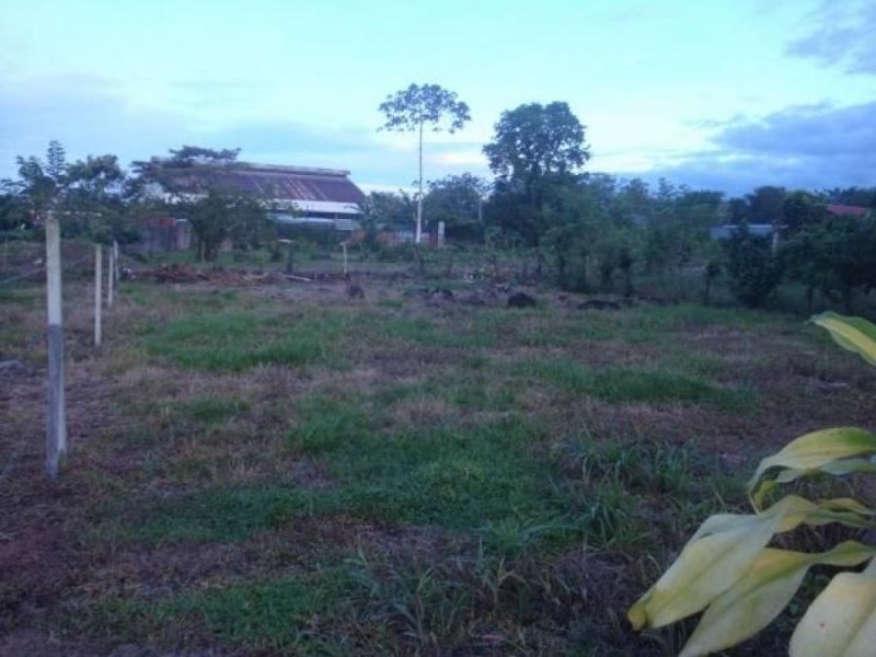 Foto Terreno en Venta en Guapiles, Pococí, Limón - U$D 30.000 - TEV56794 - BienesOnLine